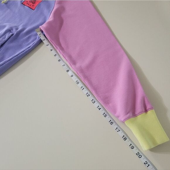 Teddy Fresh Unisex Iconic Color Block Hoodie 2.0 Sweatshirt Pastel - Picture 14 of 16